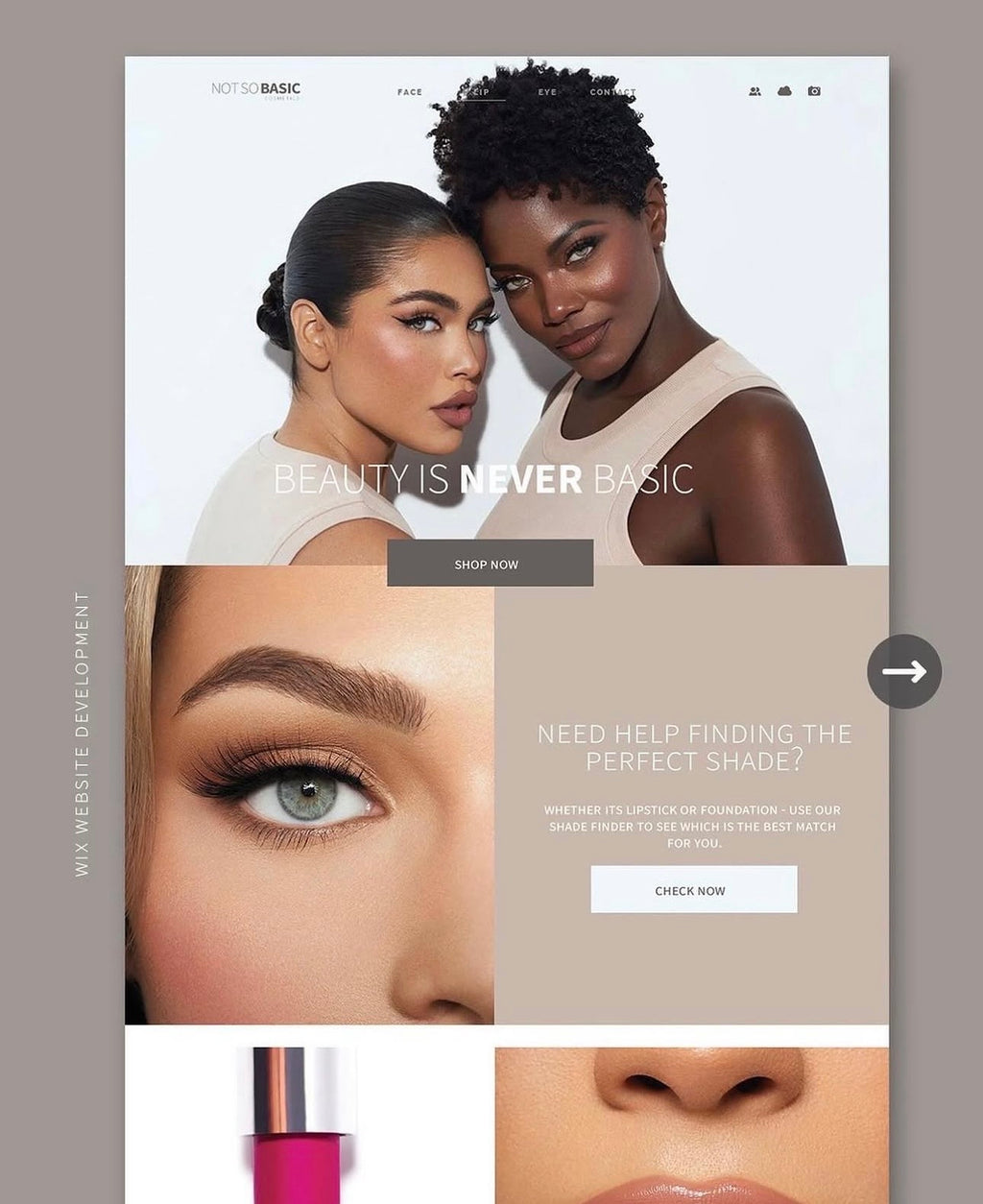 WEBSITE DEVELOPMENT